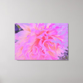 Elegante Dahlia con decoración magenta y rosa