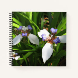 Elegante Diario de cubierta dura Orquídea