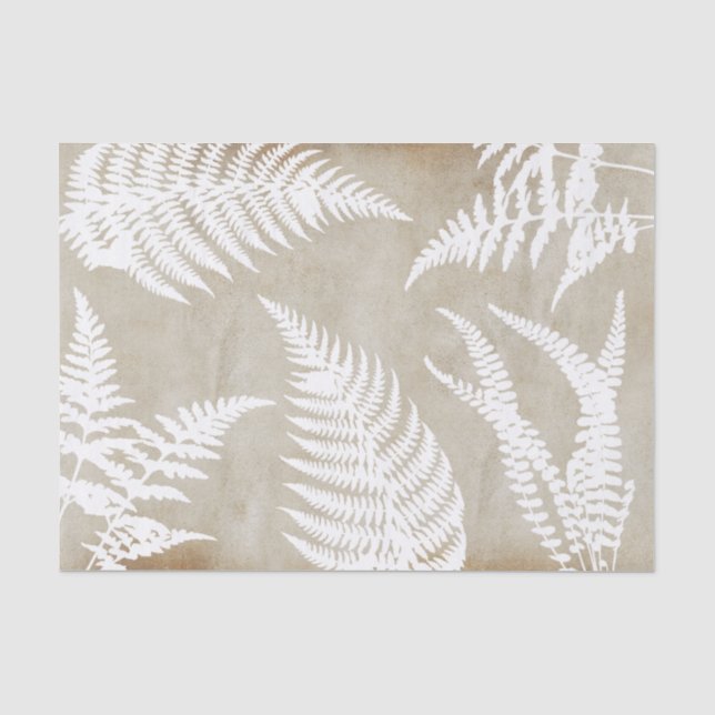 Elegante Fern blanco sobre papel Kraft (Anverso)