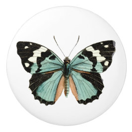 Elegante flor de mariposa Verde azulada pomo de ce