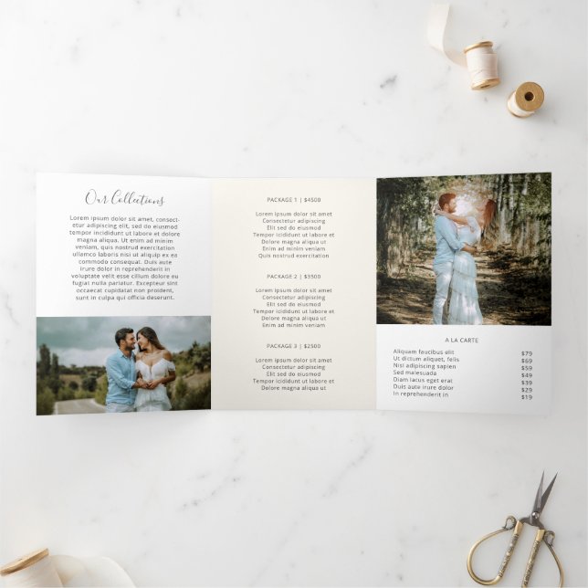 Elegante Folleto de fotografías de marfil (Interior)