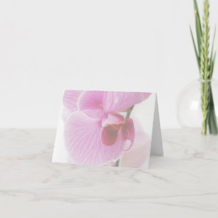 Elegante foto de orquídea rosa