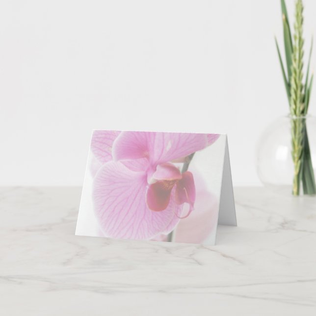 Elegante foto de orquídea rosa (Anverso)