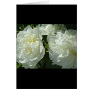 Elegante foto de una joya blanca floral