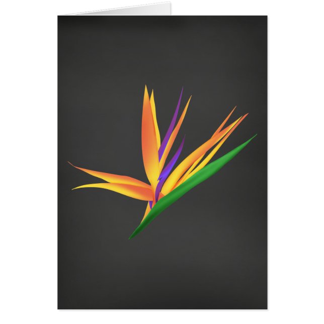 Elegante Gracias por tu simpatía (Frente)