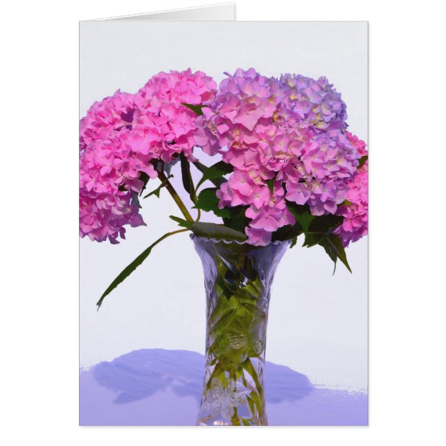 Elegante hortensias florales púrpura rosa (Frente)