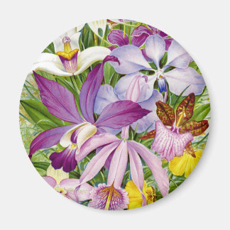 Elegante imán de época/orquídeas antiguas