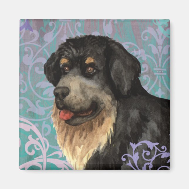 Elegante imán de Mastiff tibetano (Frente)