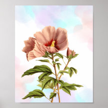 Elegante Impresión botánica de flores de Hibiscus