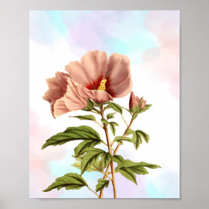 Elegante Impresión botánica de flores de Hibiscus