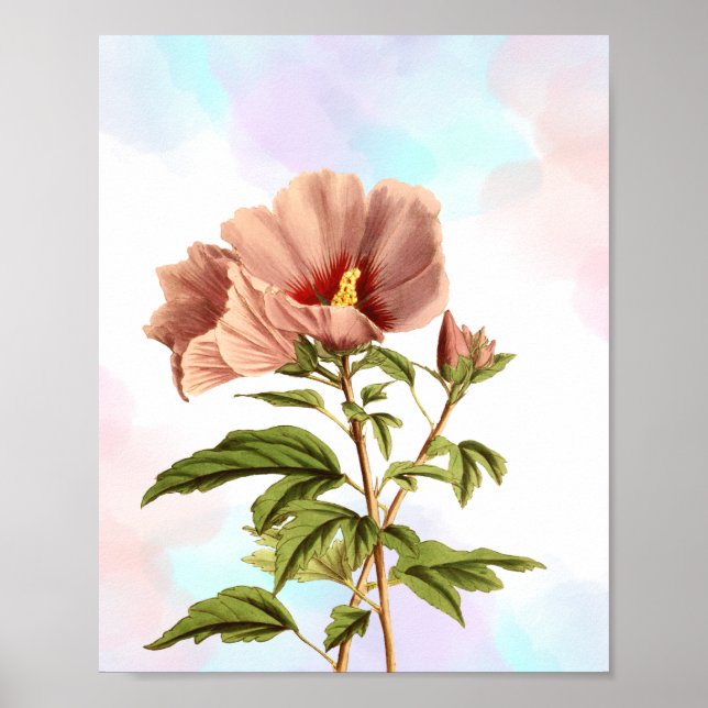 Elegante Impresión botánica de flores de Hibiscus (Frente)