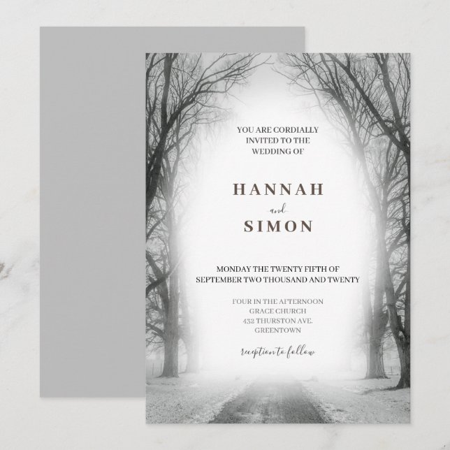 Elegante Invitación a la Boda de Nieve Plateada de (Anverso / Reverso)