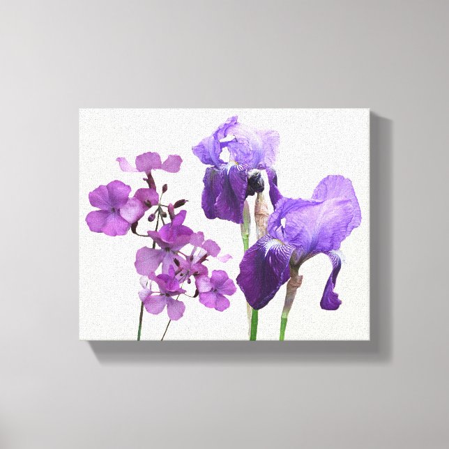 Elegante iris morado caliente flores arte digital  (Anverso)
