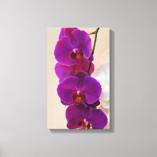 Elegante lienzo envuelto con orquídea púrpura