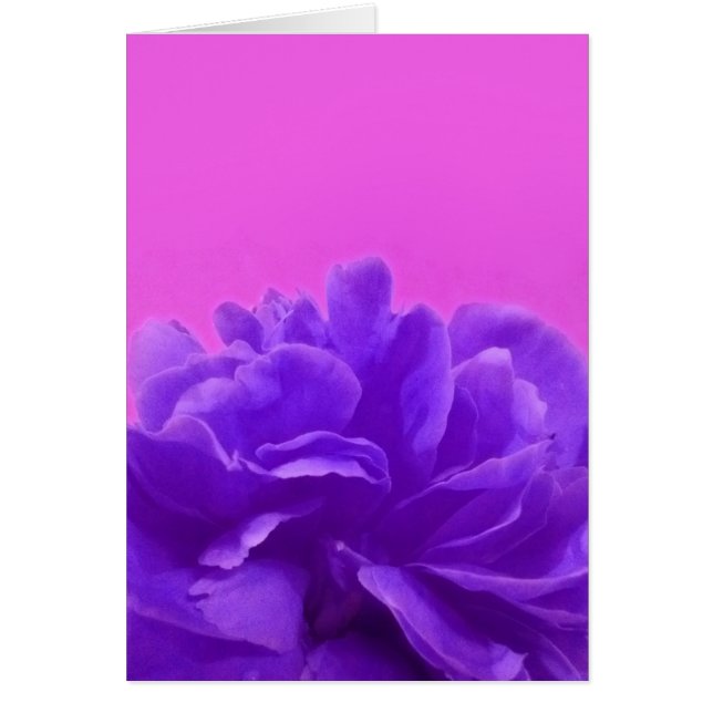 Elegante morado frambuesa floral (Frente)