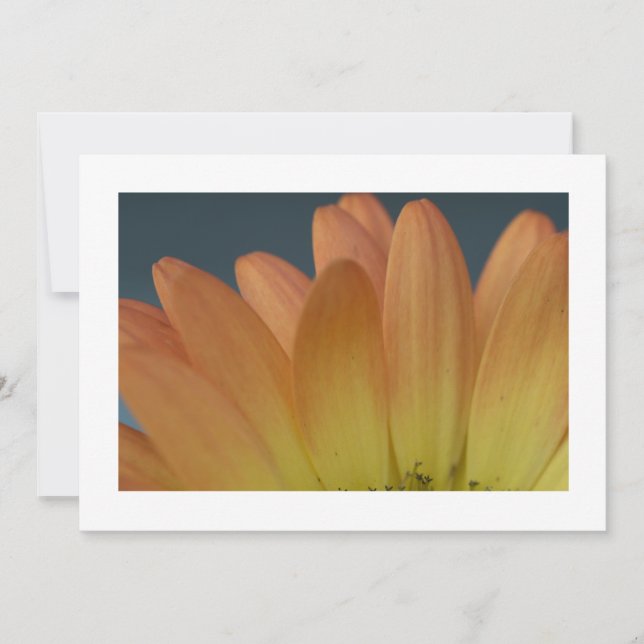 Elegante Naranja Petal Personalizado Invitación (Anverso)