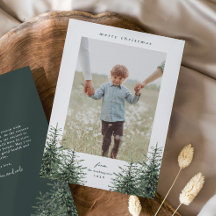 Elegante Navidad de fotografía de pino pintado a m