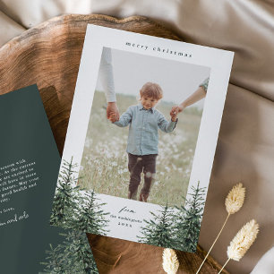 Elegante Navidad de fotografía de pino pintado a m