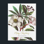 Elegante Navidades botánicos de época Rosa Flor<br><div class="desc">Ilustracion botánico vintage de flores de invierno ramo con Navidades rosa Helleborus niger,  y Lauristinus,  arte muy elegante,  sofisticado y elegante,  con nombre y mensaje editable</div>