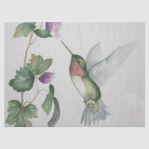 Elegante Papel De Tejido De Color Rosa Hummingbird