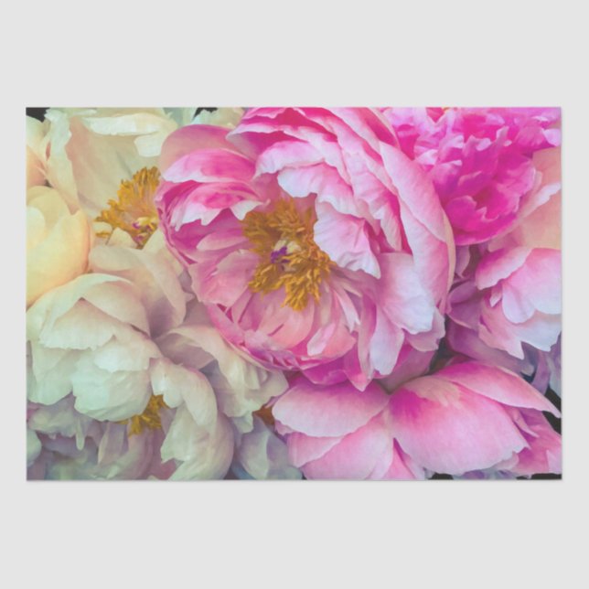 Elegante Papel de tejidos rosado y crema (Anverso)