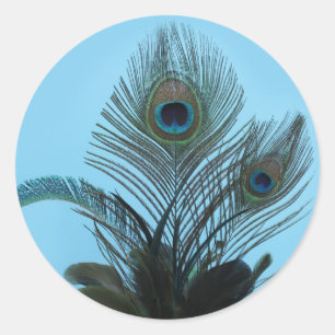 Elegante Pegatina de pavo real (turquesa)
