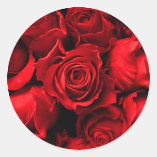 Elegante Pegatina Rosa Rojo