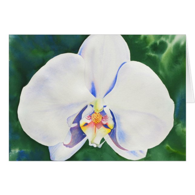 Elegante pintura de orquídeas de color blanco (Anverso (Horizontal))