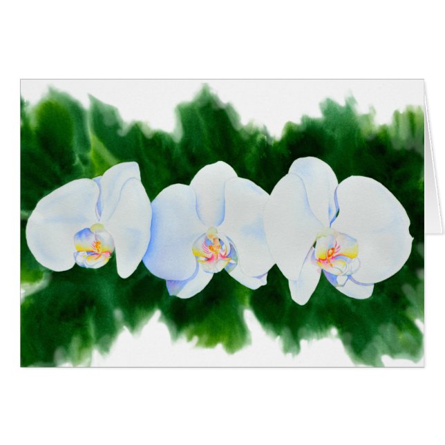 Elegante pintura de orquídeas de color blanco trop (Anverso (Horizontal))