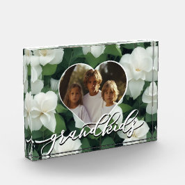 Elegante plantilla de foto de boho verde blanco fl