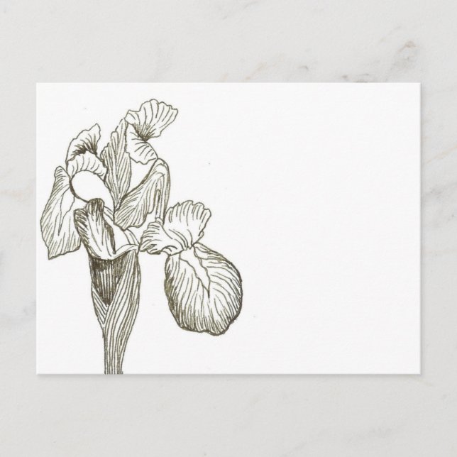 Elegante postal de Iris (Anverso)