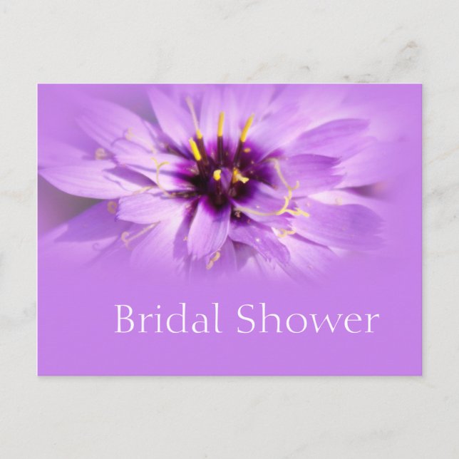 Elegante postal de la flor de margarita púrpura (Anverso)