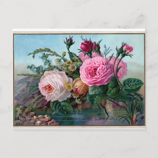 Elegante postal de rosas rosadas de época (Anverso)