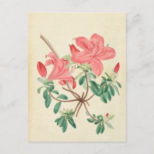 Elegante postal floral rosa Vintage