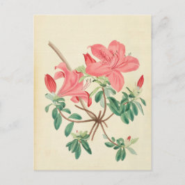 Elegante postal floral rosa Vintage