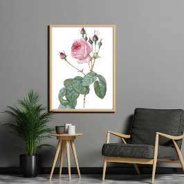 Elegante Poster de arte botánico rosa rosa rosa de