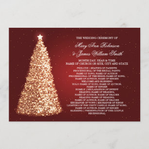 Elegante Programa de Boda de Navidad en Dorado y R