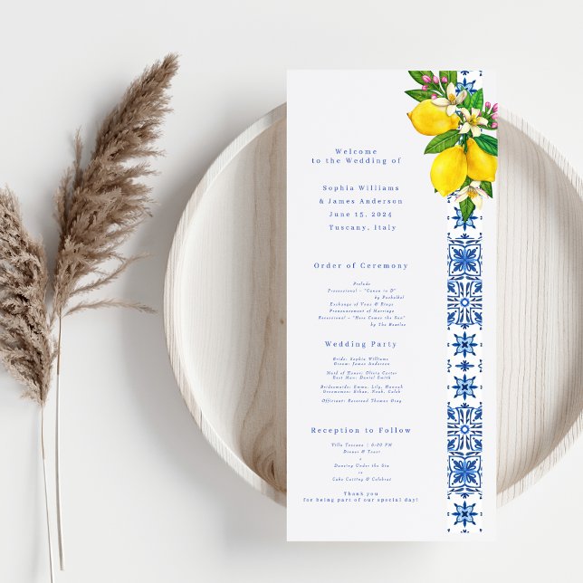 Elegante programa de bodas mediterráneas con limón (Subido por el creador)
