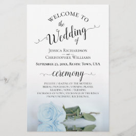 Elegante programa de matrimonio presupuestal Dusty