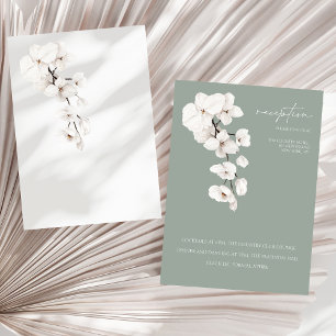 Elegante recepción de orquídeas blancas de color v