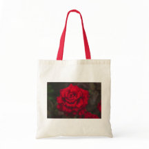 Elegante Rosa de foto de la bolsa de té