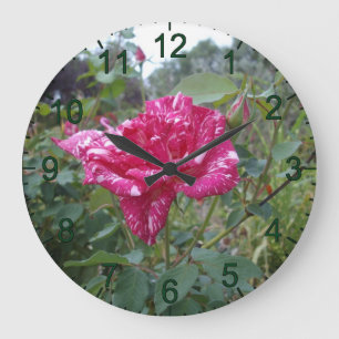 Elegante Rosa De Rayas Rosadas Y Blancas, Reloj De