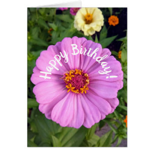 Elegante tarjeta de cumpleaños de flores de zinnia