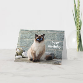Elegante tarjeta de cumpleaños de foto de gato sia
