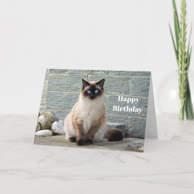 Elegante tarjeta de cumpleaños de foto de gato sia (Anverso)