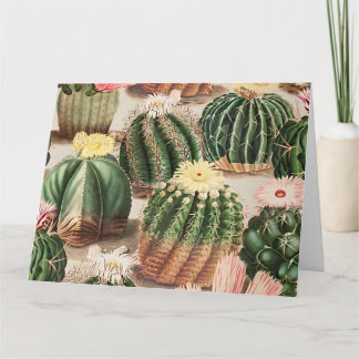 Elegante tarjeta de Ilustracion Cactus