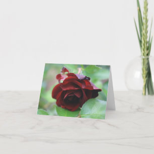 Elegante Tarjeta de Nota de Rosa Roja Profunda