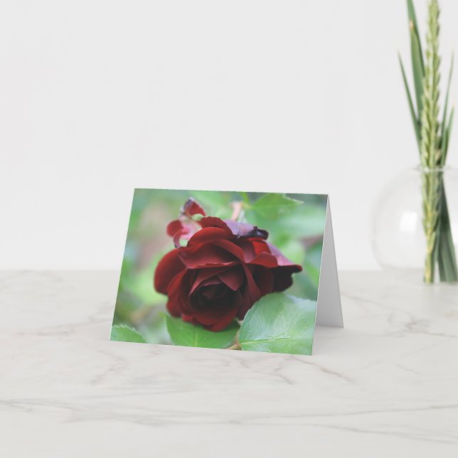 Elegante Tarjeta de Nota de Rosa Roja Profunda (Anverso)