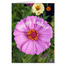 Elegante tarjeta de Pascua de Flor Rosa de Zinnia