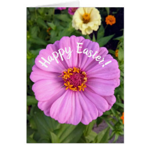 Elegante tarjeta de Pascua de Flor Rosa de Zinnia